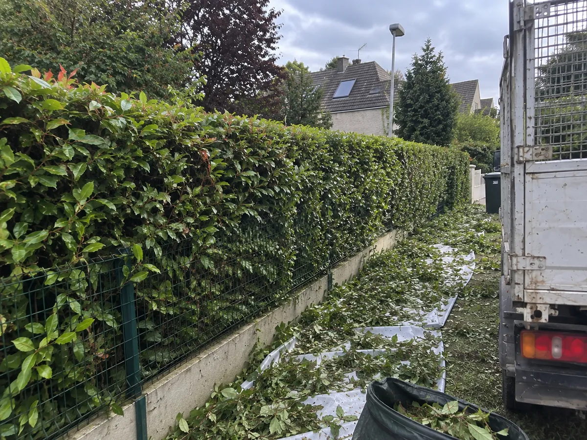 Dessouchage et rognage de souche à Lens (62) — prestation