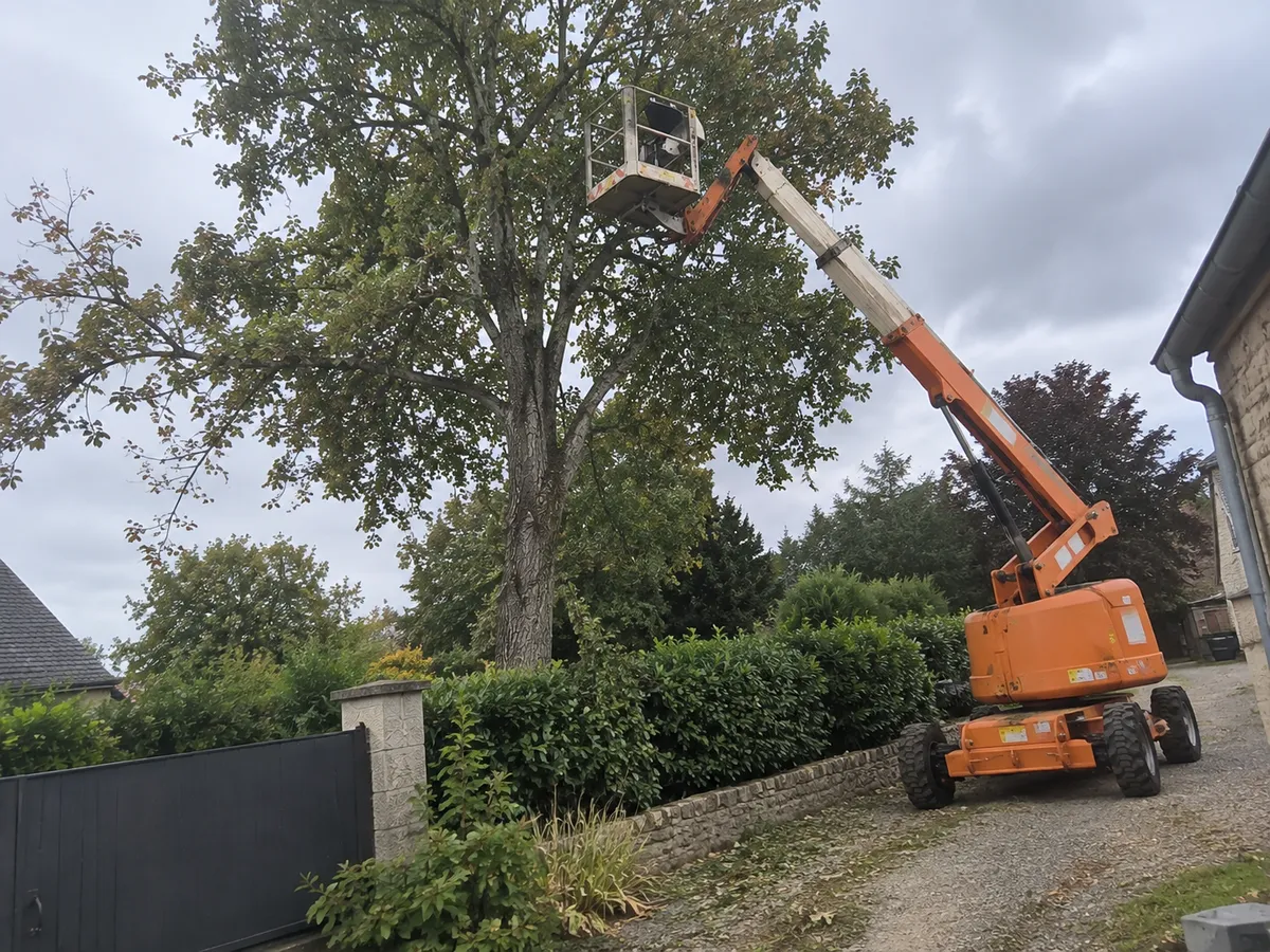 travaux en hauteur Lens — Travaux en hauteur
